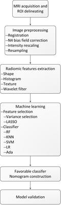 Preoperative Prediction of Meningioma Consistency via Machine Learning-Based Radiomics